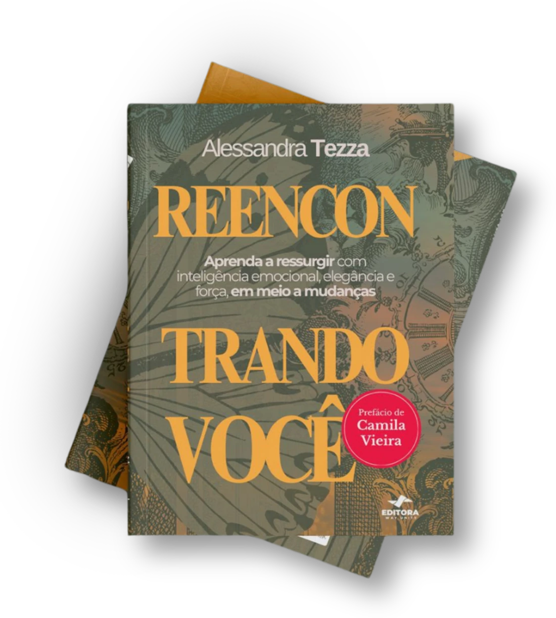 Livro Reencontrando Você, de Alessandra Tezza