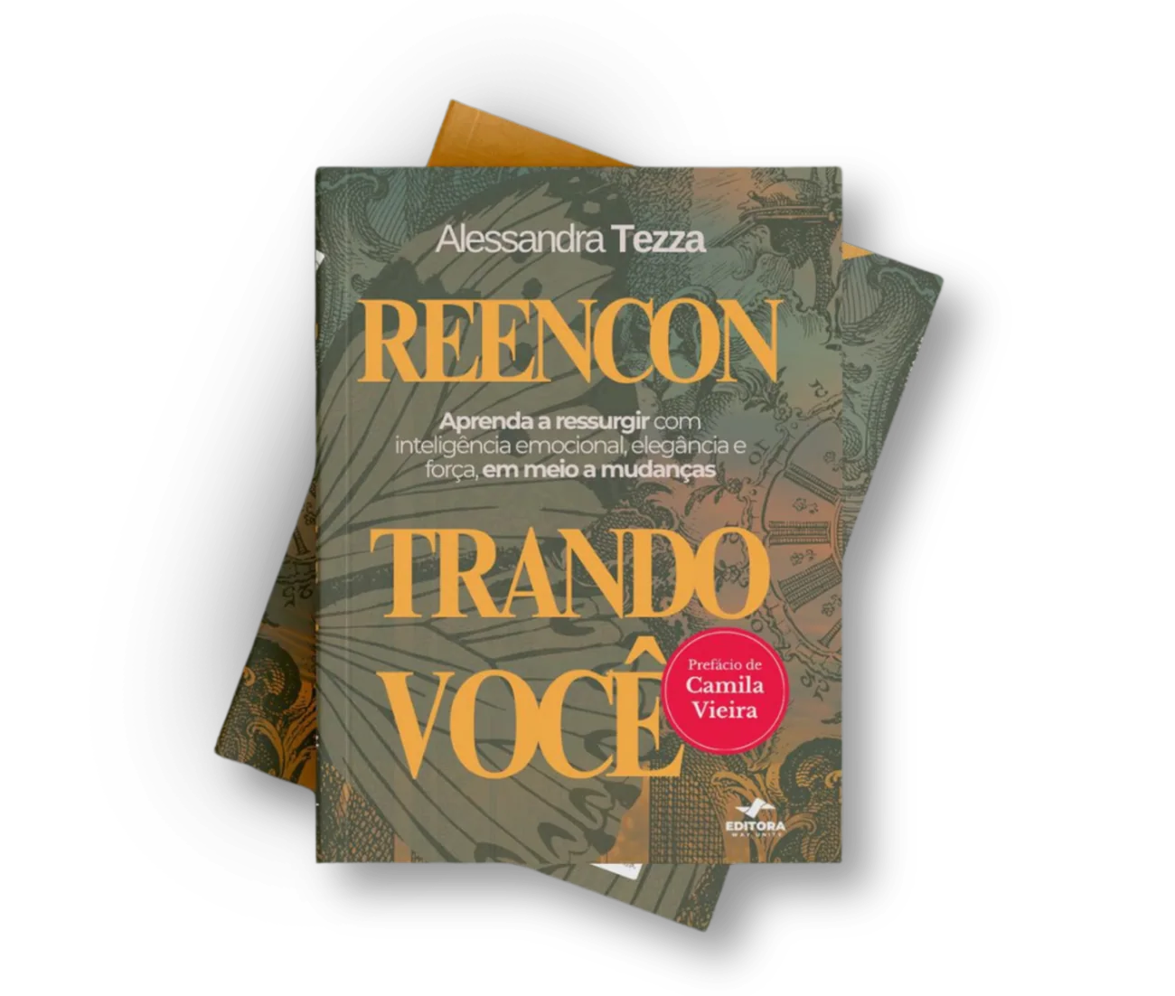 Livro Reencontrando Você, de Alessandra Tezza